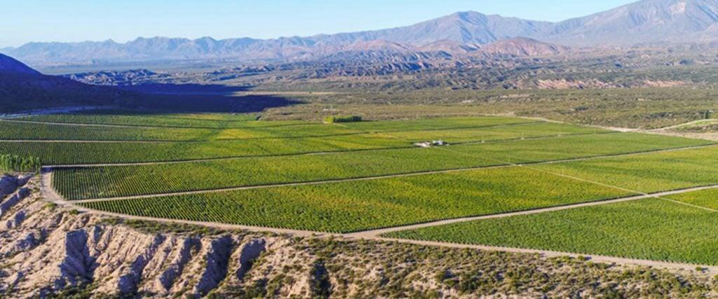 Día de la Tierra · 22 de abril