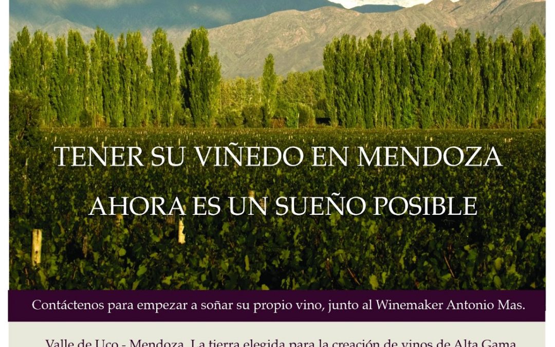 Creatividad: diseño de Aviso para Diario La Nación